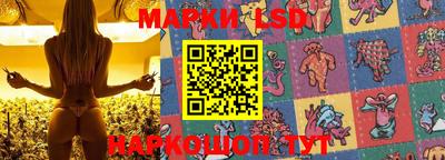 ешки Сланцы