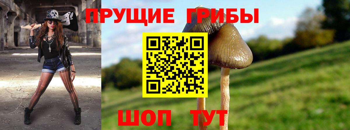 Псилоцибиновые грибы прущие грибы Новый Уренгой